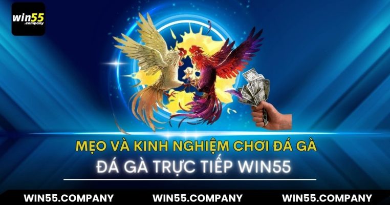 mẹo và kinh nghiệm đá gà trực tiếp