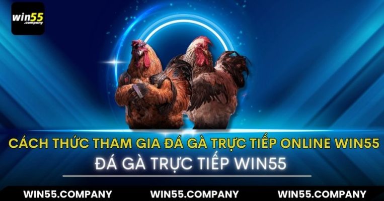 Cách Thức Tham Gia Đá Gà trực tiếp Online win55