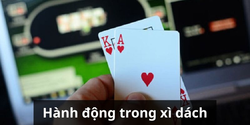 Hành động thực hiện trong xì dách là gì?