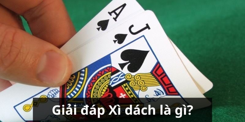 Giải thích xì dách là gì?