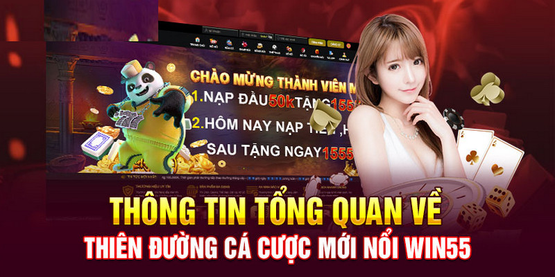 Quá trình phát triển và gây dựng thương hiệu cá cược